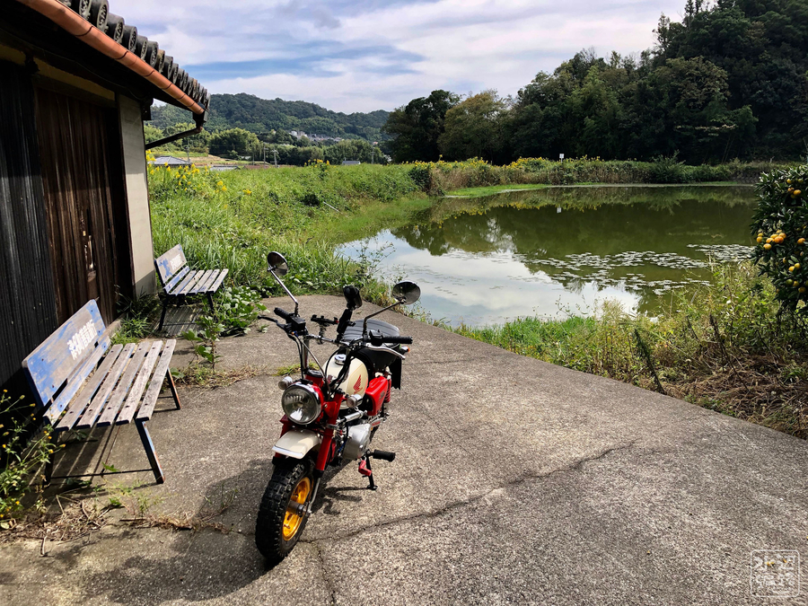f:id:cippillo:20191024215628j:plain