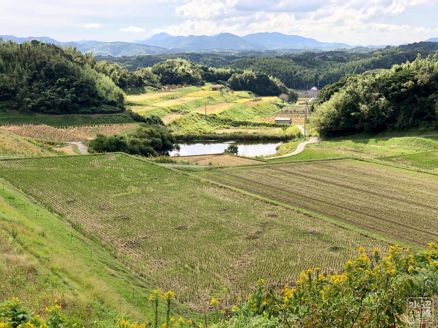 f:id:cippillo:20191025044120j:plain
