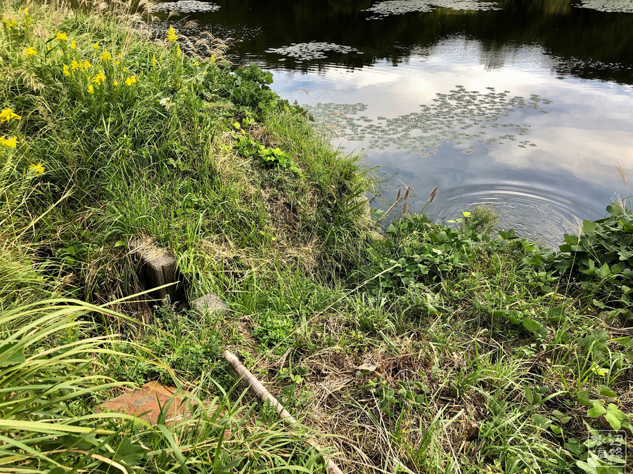 f:id:cippillo:20191025044128j:plain