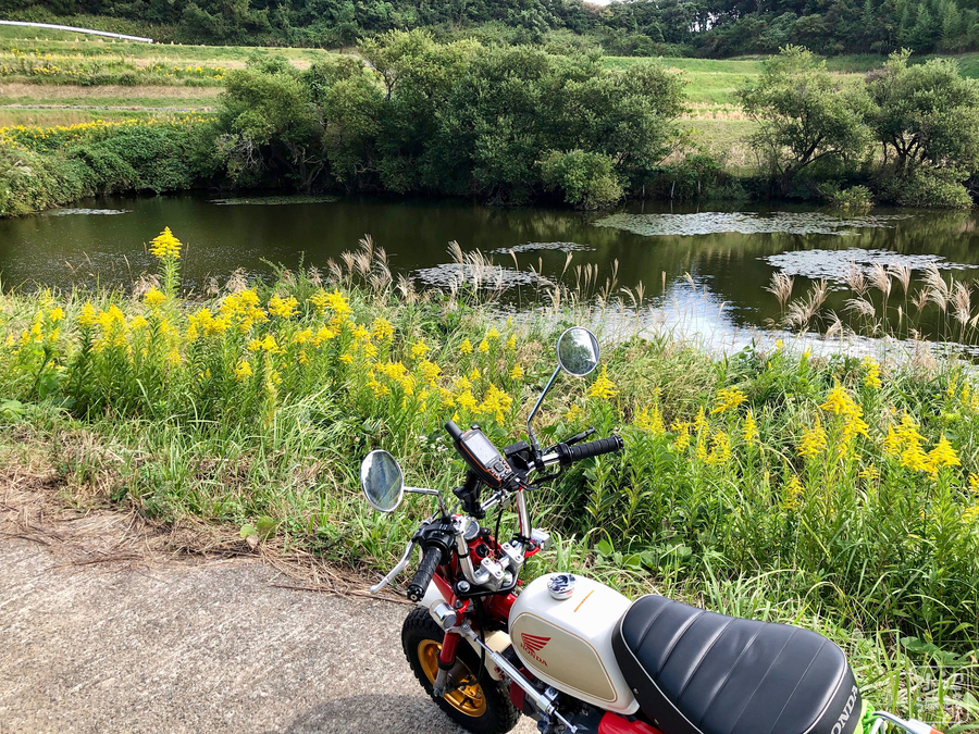 f:id:cippillo:20191025044151j:plain
