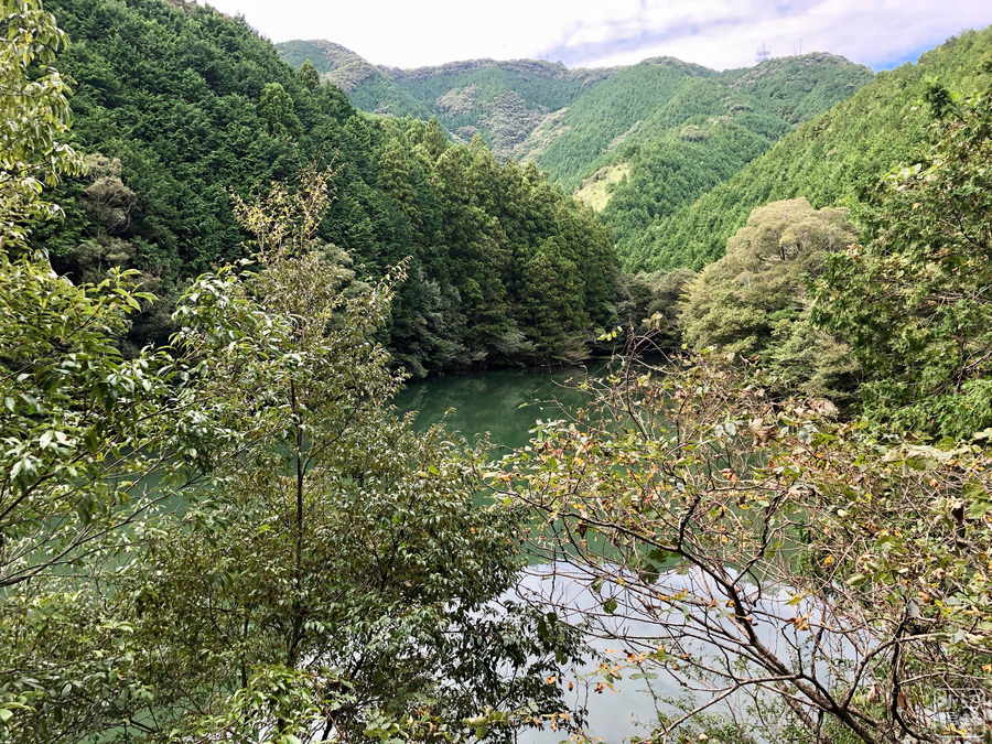 f:id:cippillo:20191030082353j:plain f:id:cippillo:20191030082353j:plain