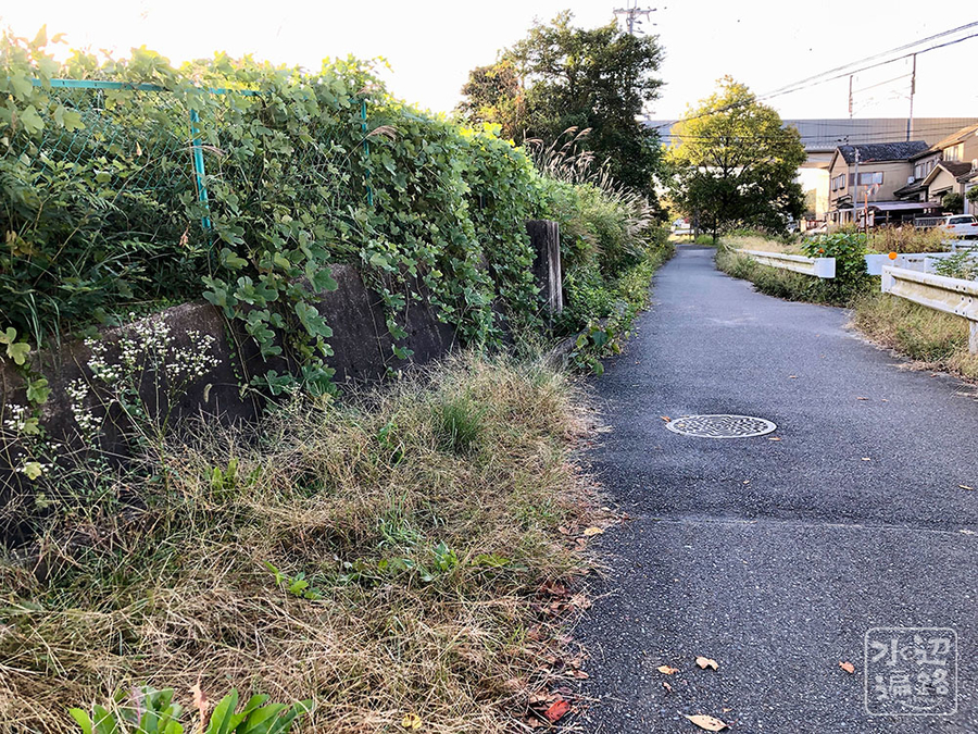 f:id:cippillo:20191103150042j:plain