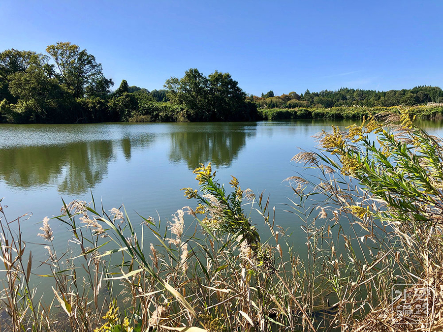 f:id:cippillo:20191105095237j:plain f:id:cippillo:20191105095237j:plain