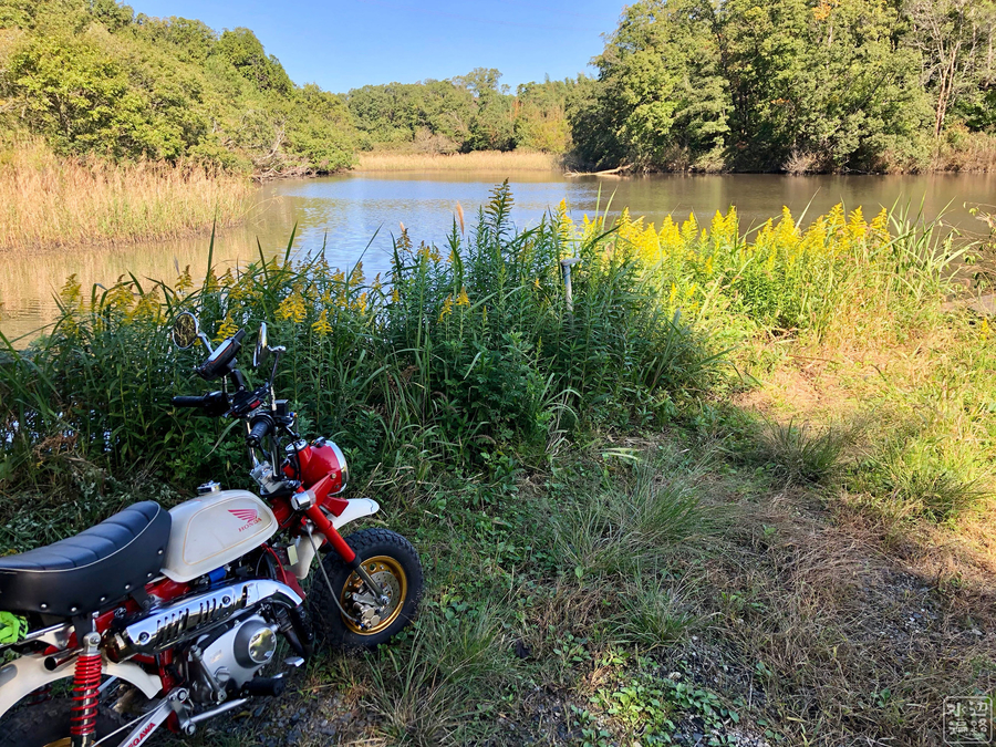 f:id:cippillo:20191105164238j:plain