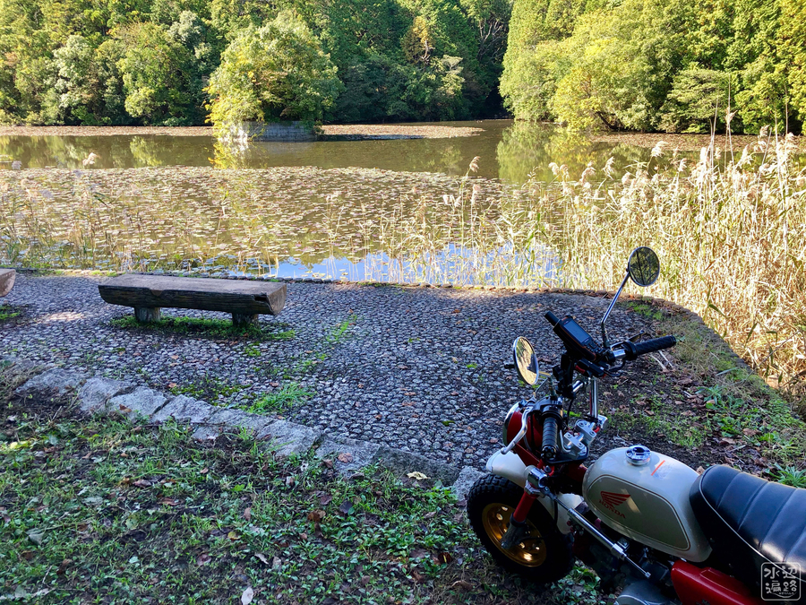 f:id:cippillo:20191105170751j:plain f:id:cippillo:20191105170751j:plain
