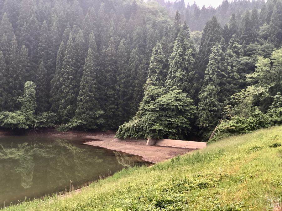 f:id:cippillo:20191108093921j:plain