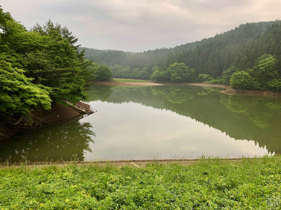 f:id:cippillo:20191108093940j:plain