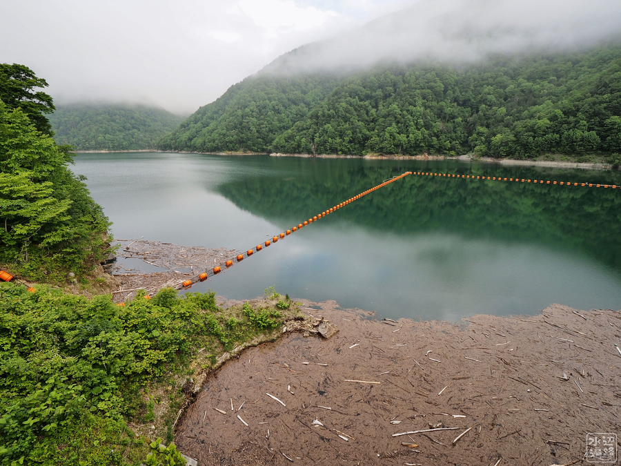 f:id:cippillo:20191108163003j:plain