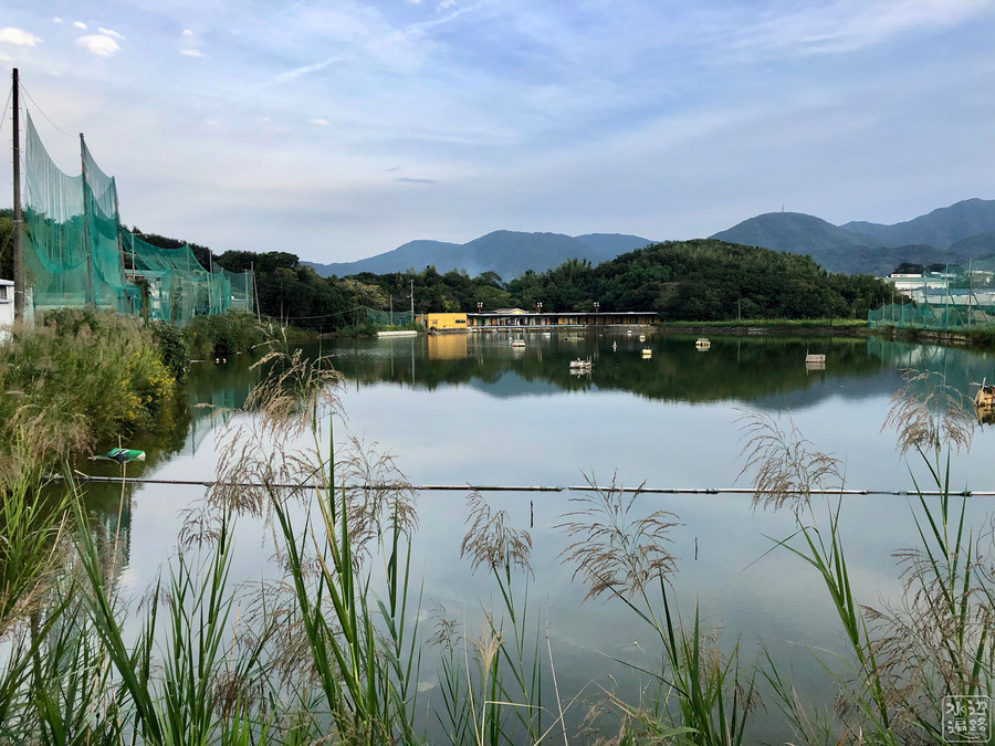f:id:cippillo:20191110182743j:plain