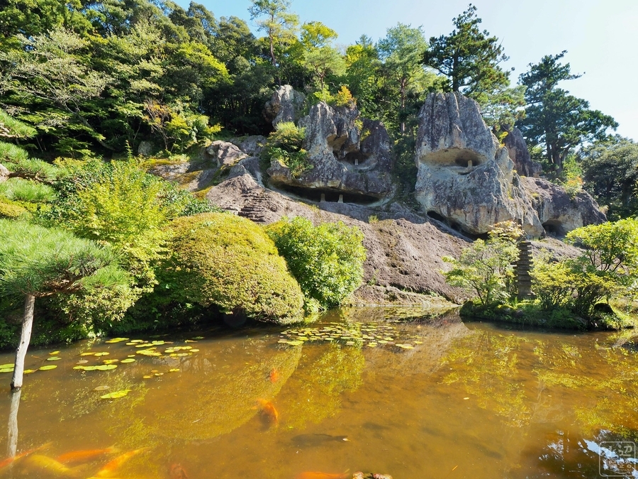 f:id:cippillo:20191112174538j:plain