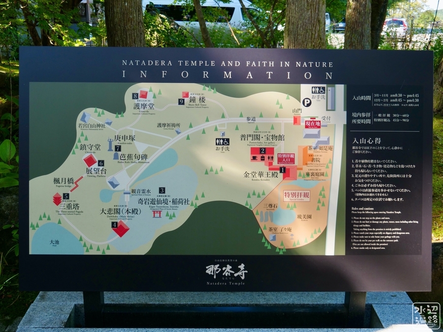 f:id:cippillo:20191112174706j:plain