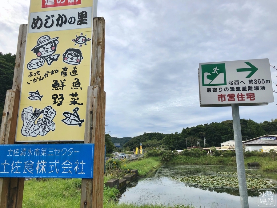 めじかの里土佐清水の池 仮称 高知県土佐清水 水辺遍路