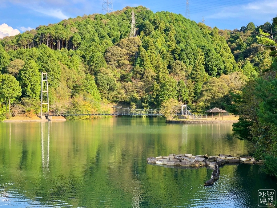 f:id:cippillo:20191114093402j:plain