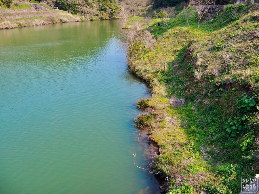 f:id:cippillo:20191114201116j:plain