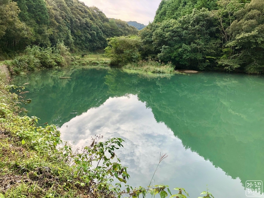 f:id:cippillo:20191117204244j:plain
