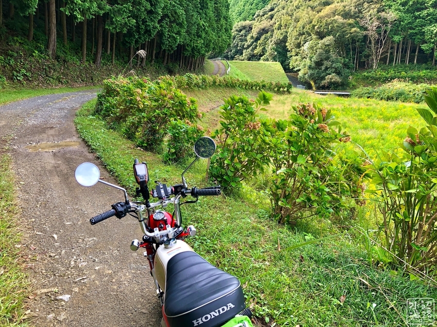 f:id:cippillo:20191117204343j:plain