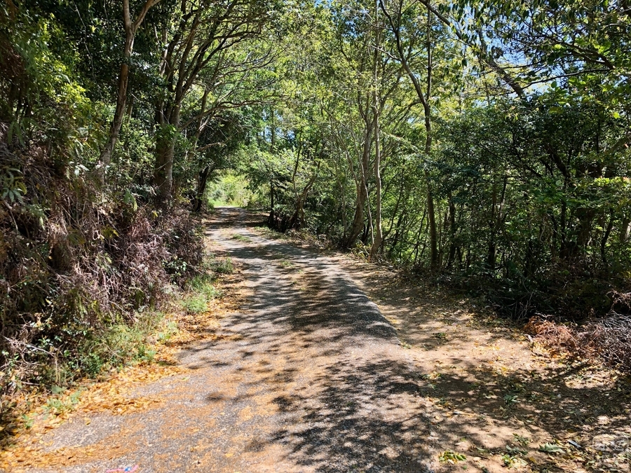 f:id:cippillo:20191119130259j:plain