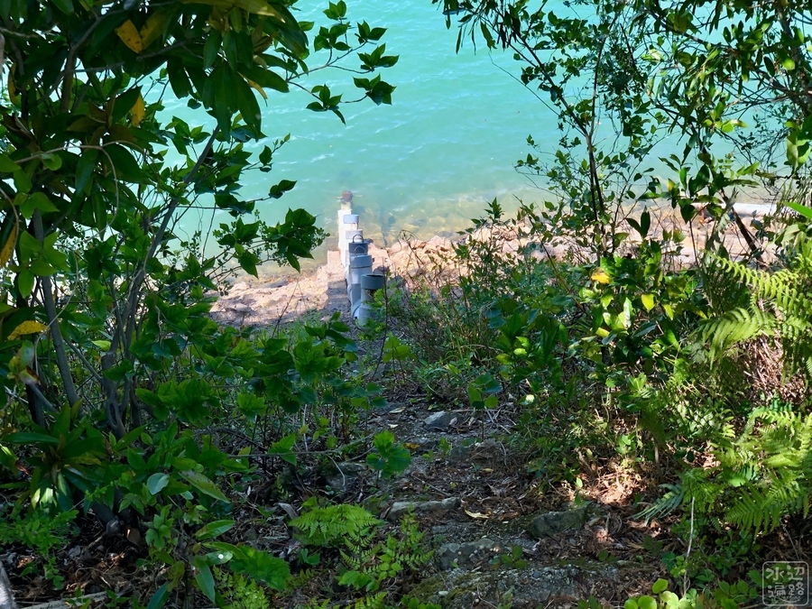 f:id:cippillo:20191119130315j:plain