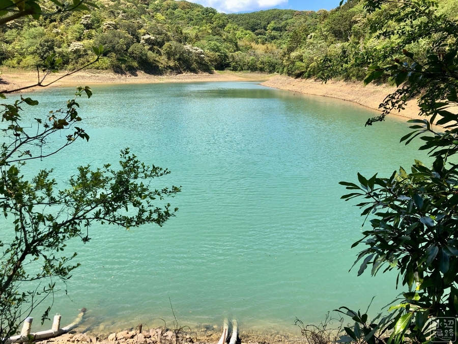 f:id:cippillo:20191119130350j:plain