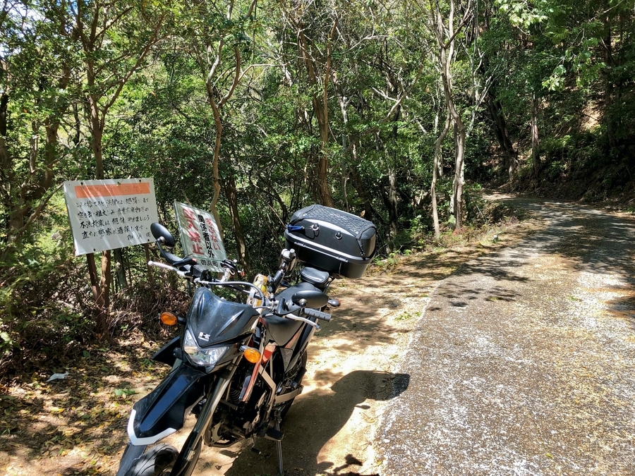 f:id:cippillo:20191119130428j:plain