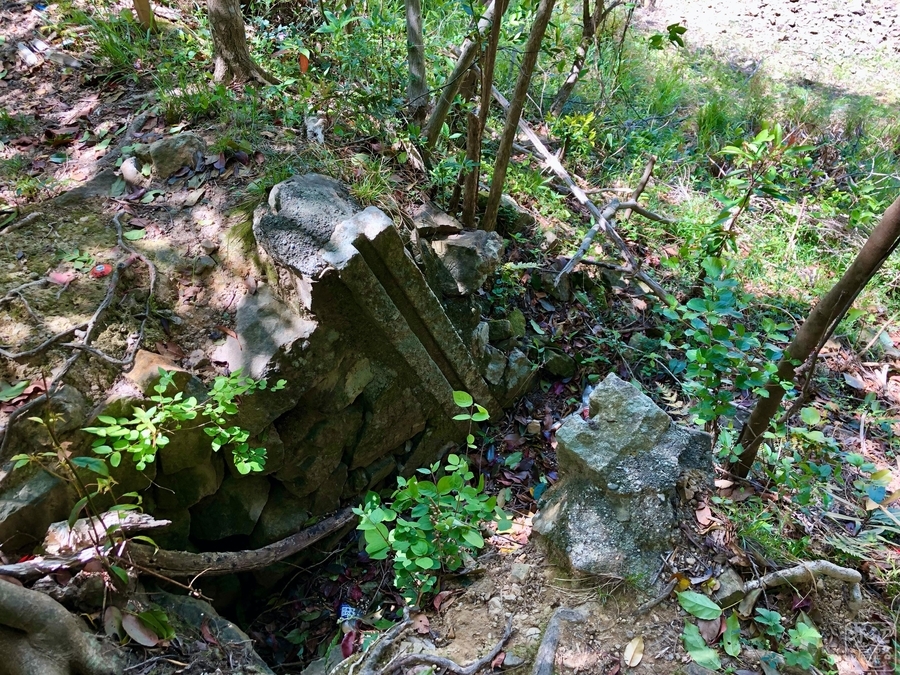 f:id:cippillo:20191119130452j:plain