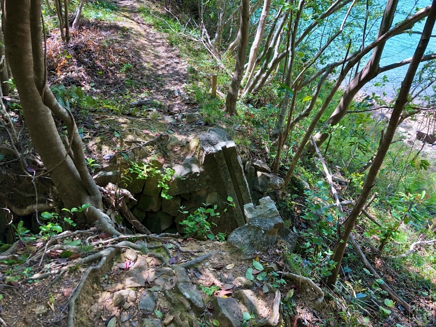 f:id:cippillo:20191119130509j:plain