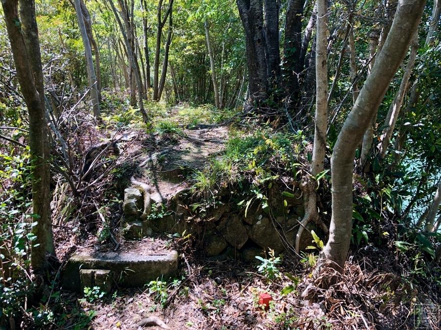 f:id:cippillo:20191119130528j:plain