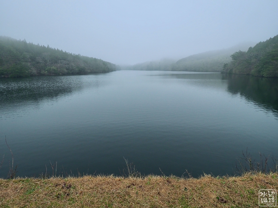 f:id:cippillo:20191119144127j:plain