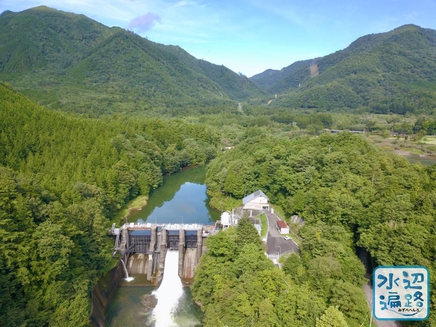 f:id:cippillo:20191120094142j:plain