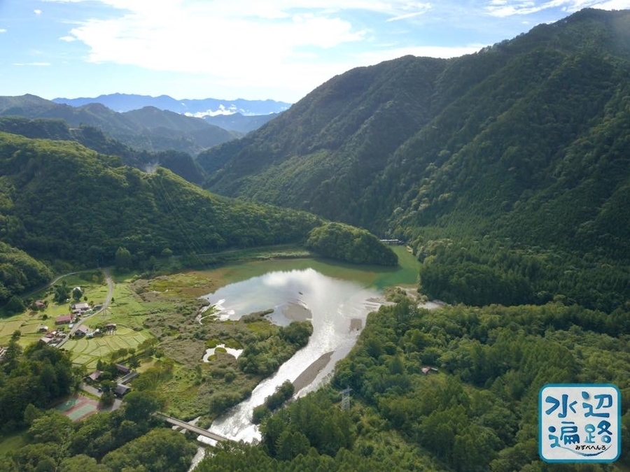 f:id:cippillo:20191120094745j:plain