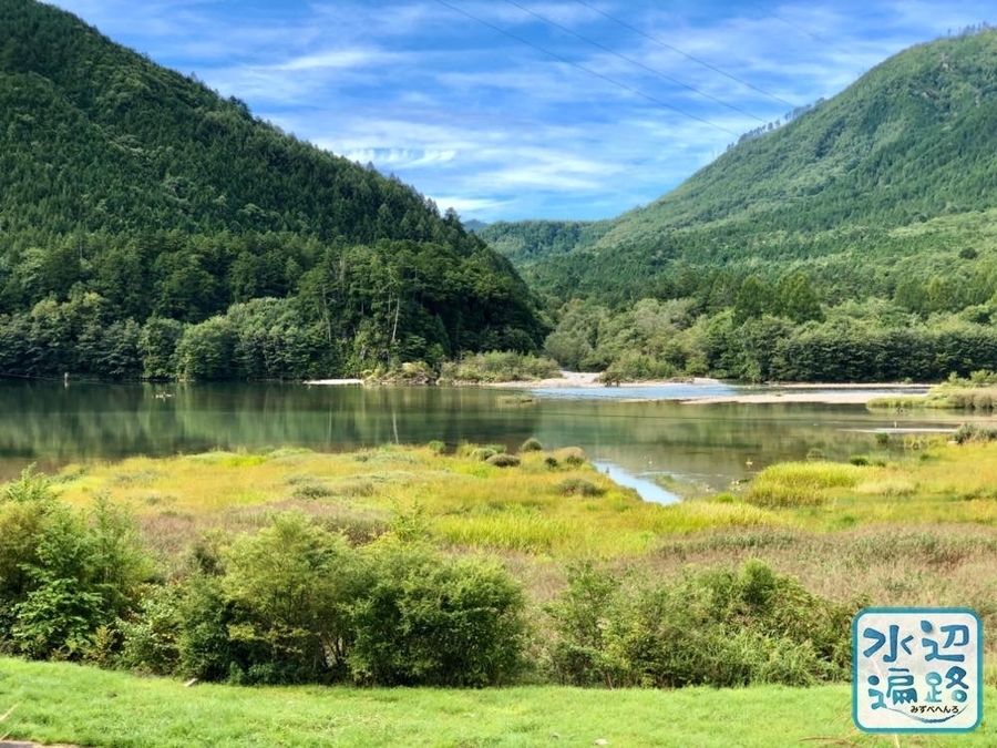 f:id:cippillo:20191120120930j:plain