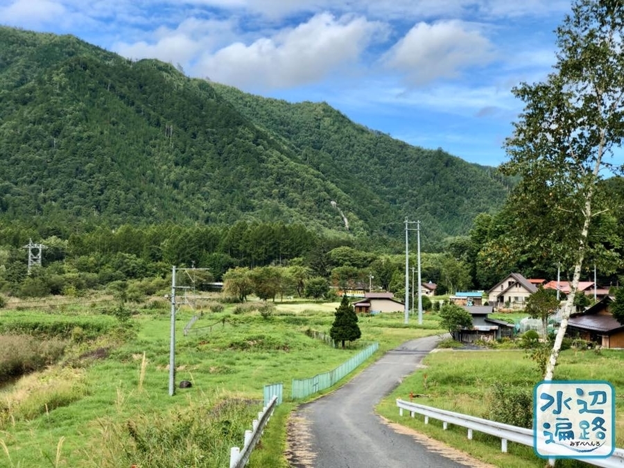 f:id:cippillo:20191120120936j:plain