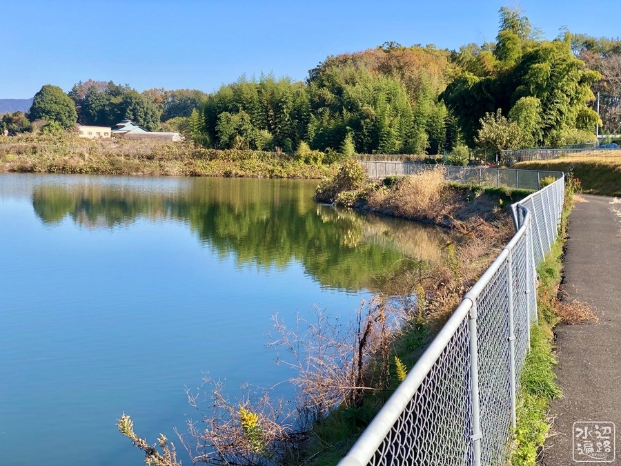 f:id:cippillo:20191125145735j:plain f:id:cippillo:20191125145735j:plain