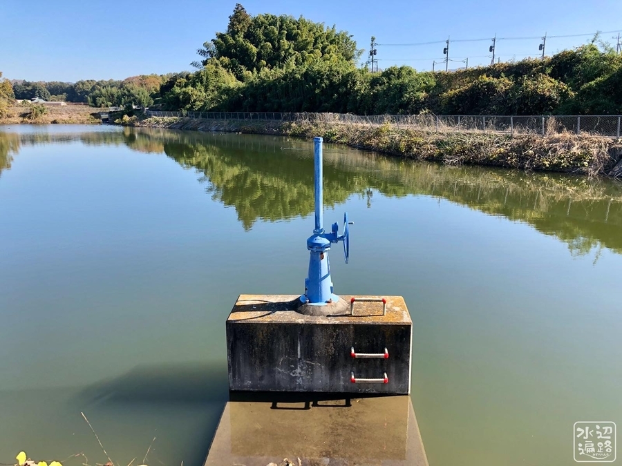 f:id:cippillo:20191125145757j:plain