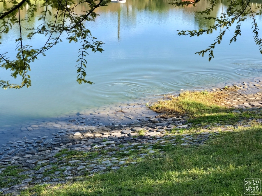 f:id:cippillo:20191125164343j:plain f:id:cippillo:20191125164343j:plain