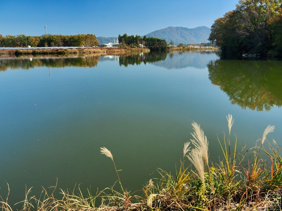 f:id:cippillo:20191125231637j:plain f:id:cippillo:20191125231637j:plain