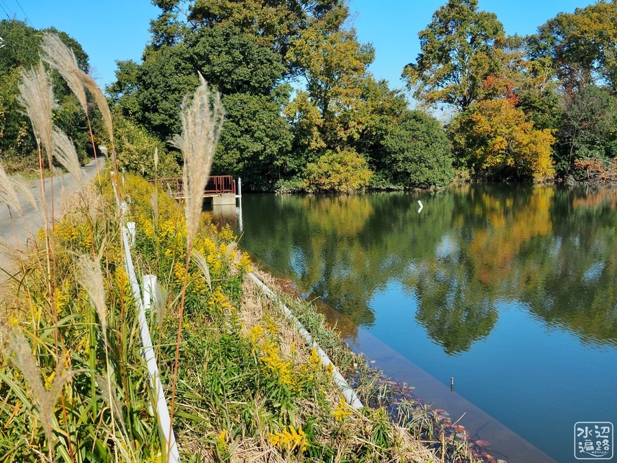 f:id:cippillo:20191125231724j:plain f:id:cippillo:20191125231724j:plain