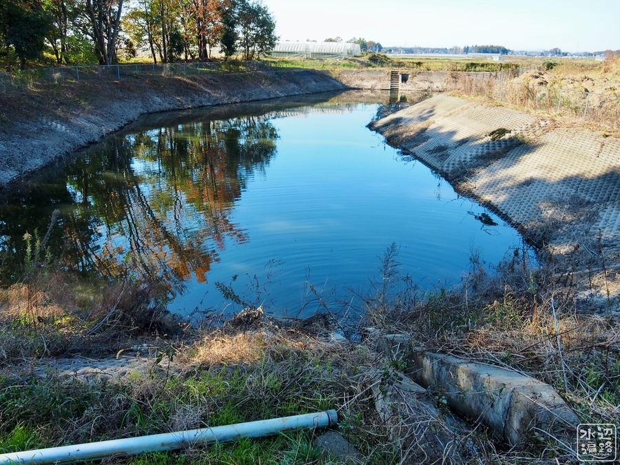 f:id:cippillo:20191125231734j:plain f:id:cippillo:20191125231734j:plain