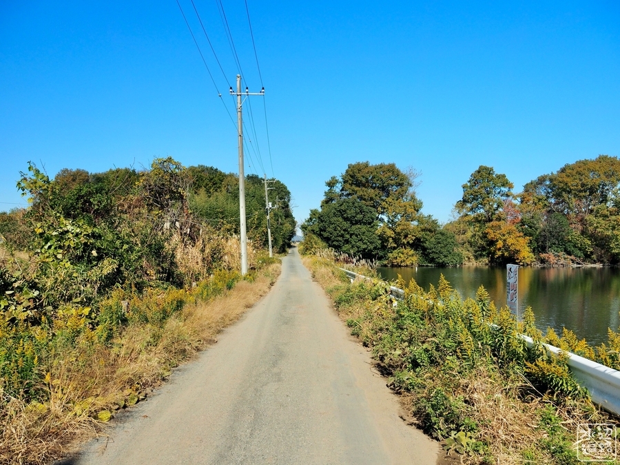 f:id:cippillo:20191125231749j:plain f:id:cippillo:20191125231749j:plain