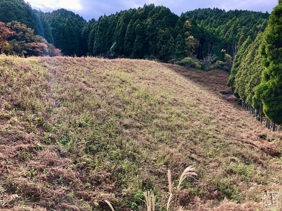 f:id:cippillo:20191204120427j:plain