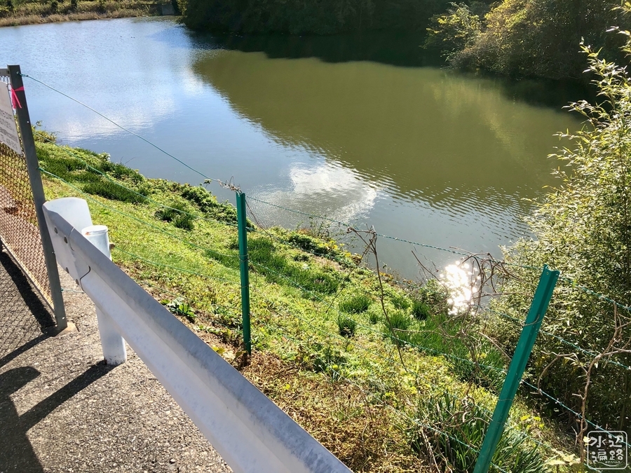f:id:cippillo:20191204162525j:plain