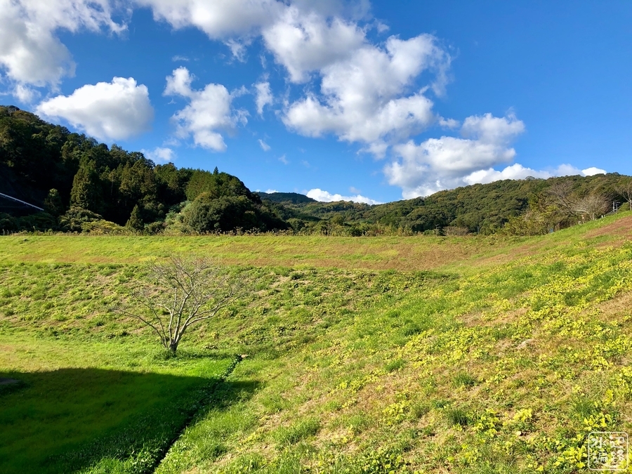 f:id:cippillo:20191204162543j:plain