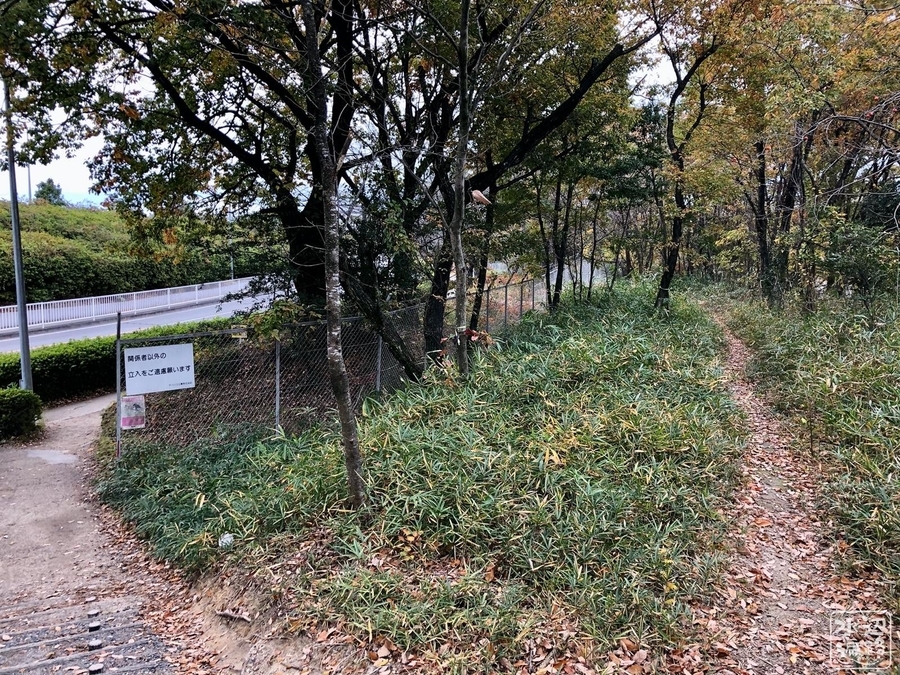 f:id:cippillo:20191206084120j:plain