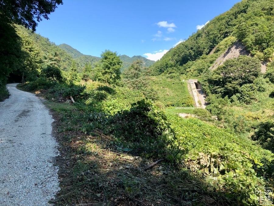 f:id:cippillo:20191210180048j:plain f:id:cippillo:20191210180048j:plain