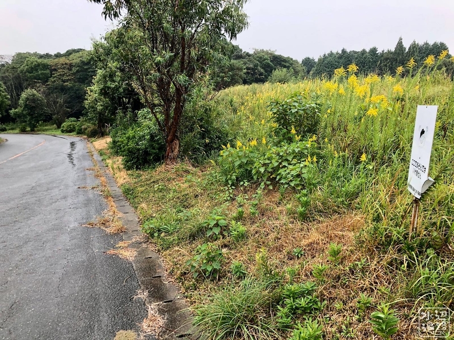 f:id:cippillo:20191216133631j:plain f:id:cippillo:20191216133631j:plain