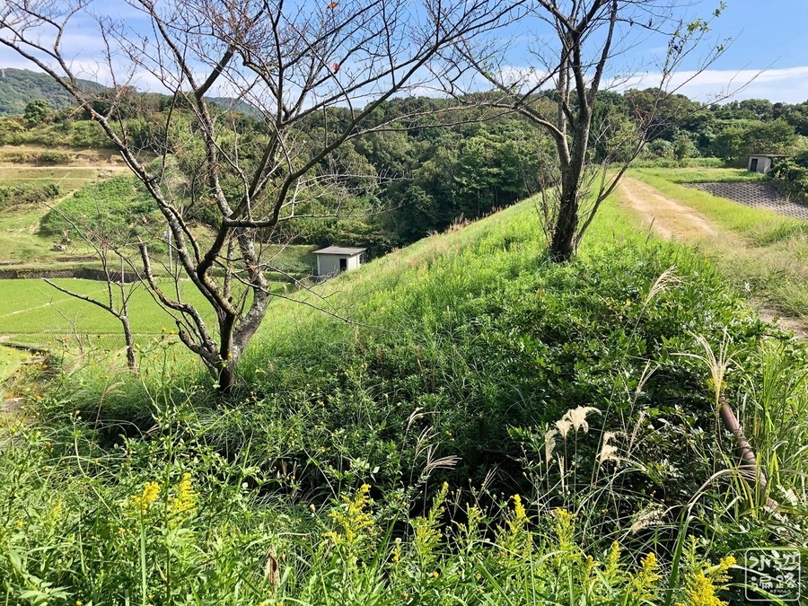 f:id:cippillo:20191217085010j:plain f:id:cippillo:20191217085010j:plain