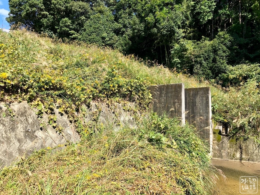 f:id:cippillo:20191218162159j:plain