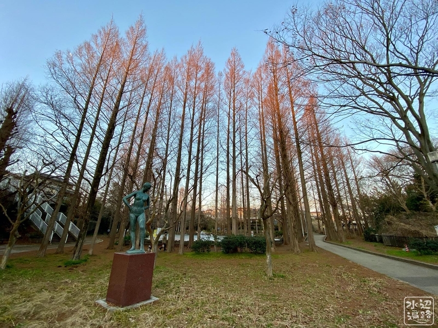 f:id:cippillo:20200104110359j:plain