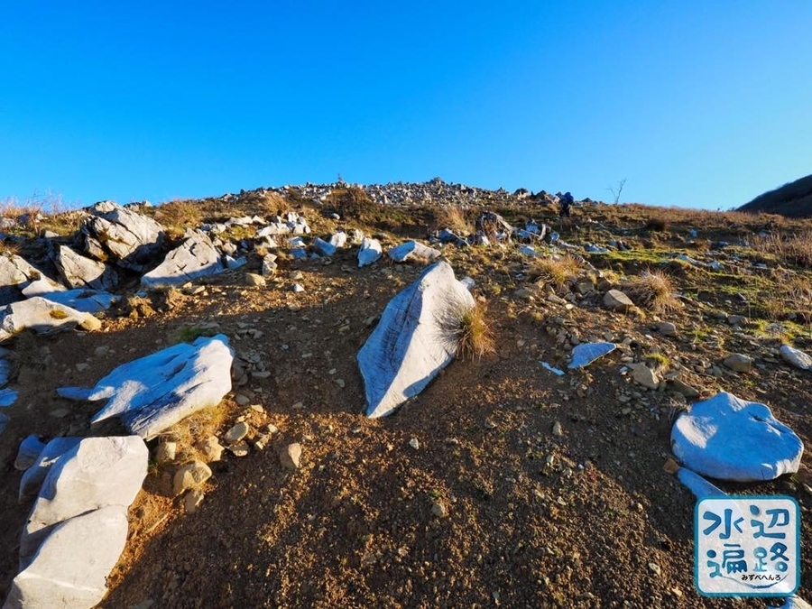 f:id:cippillo:20200107235946j:plain