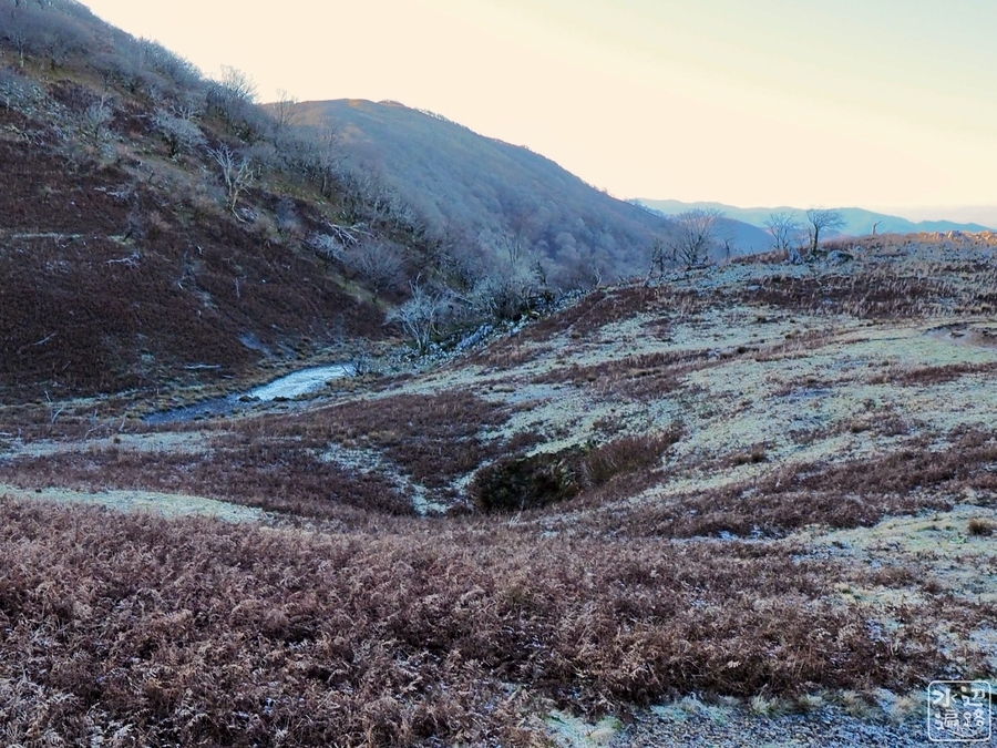 f:id:cippillo:20200108000007j:plain